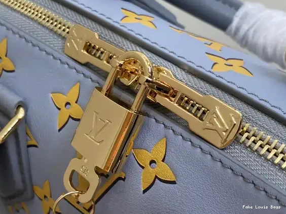 Rep ladies 20 LOUIS VUITTON BANDOULIÈRE SPEEDY 0705